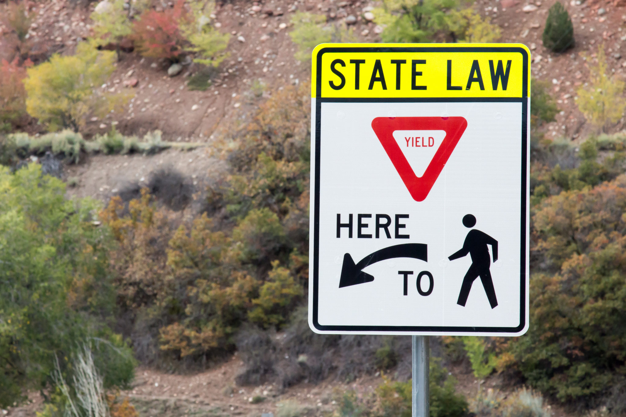 Disobey Traffic Control Device Attorney In New York